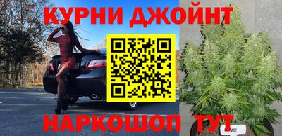 PSILOCYBIN Усть-Джегута