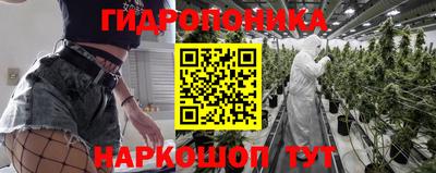 ПСИЛОЦИБИНОВЫЕ ГРИБЫ Чебоксары