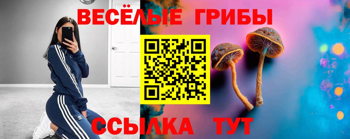 Галлюциногенные грибы Magic Shrooms  Псилоцибиновые грибы Magic Shrooms  Вход с VPN  Глазов 